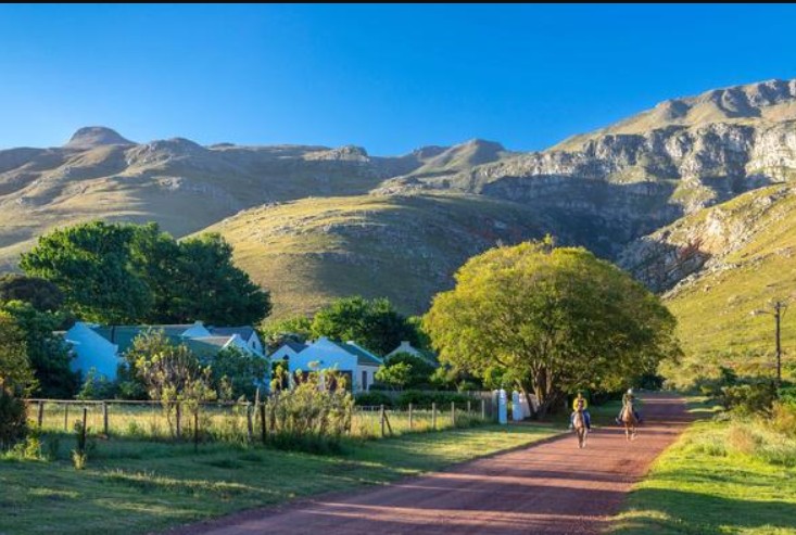 Greyton 1