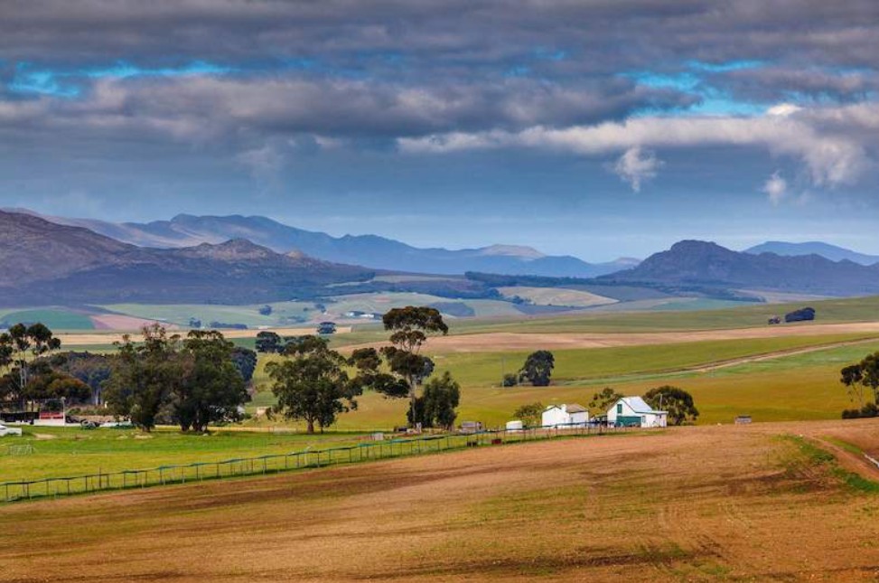 Overberg Fynbos Route
