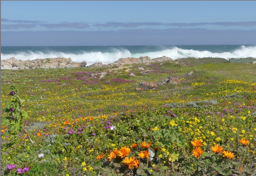 Overberg nature