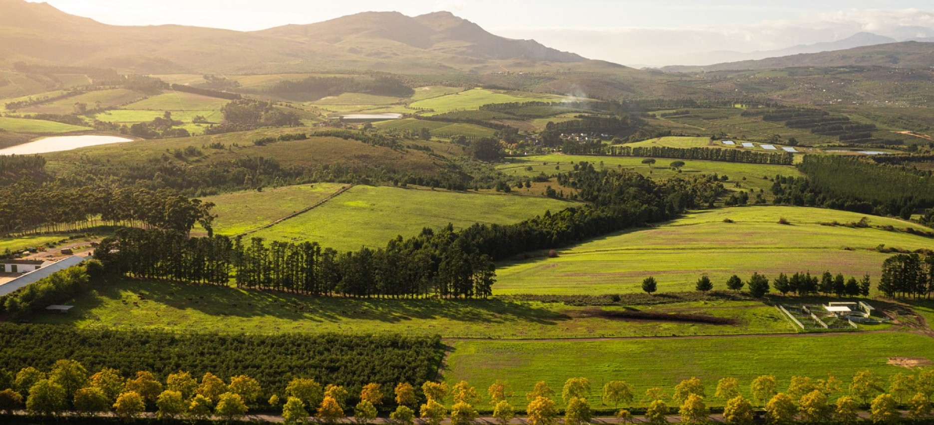 elgin wine route