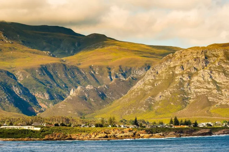 overberg-fernkloof-nature-reserve